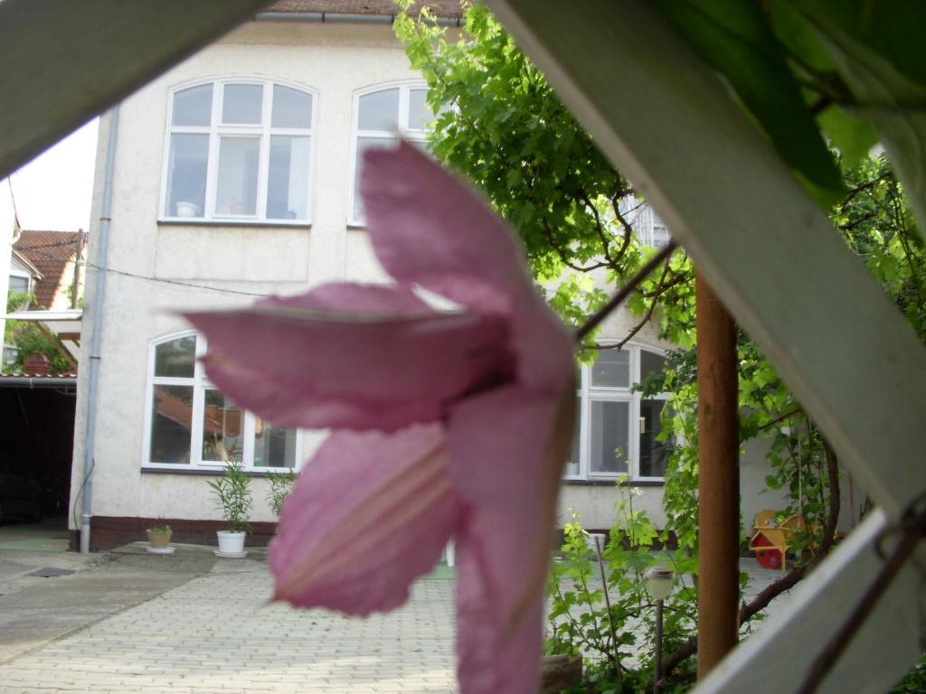 Garden 39 Vendégház Szeged Esterno foto
